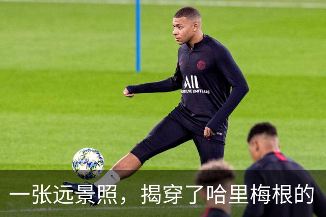 一张远景照，揭穿了哈里梅根的“人山人海”：媒体记者比围观群众还要多