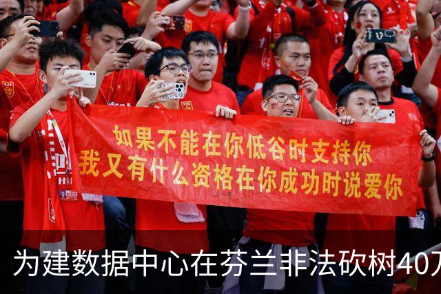 为建数据中心在芬兰非法砍树40万棵，谷歌：停工致歉，将保护水质并在部分土地重新种树