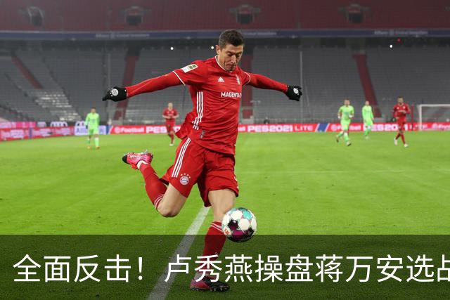 全面反击！卢秀燕操盘蒋万安选战，罗智强、徐巧芯、王鸿薇均参战