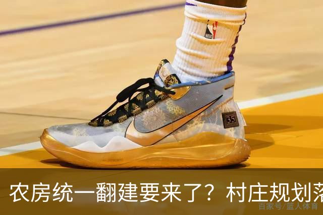 农房统一翻建要来了？村庄规划落地，这些地方下半年优先动工