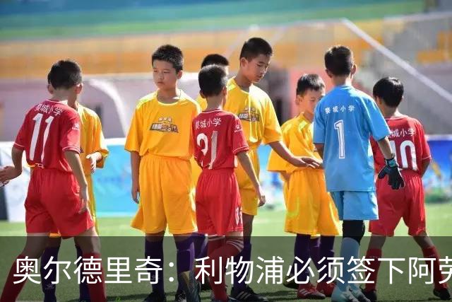 奥尔德里奇：利物浦必须签下阿劳霍
