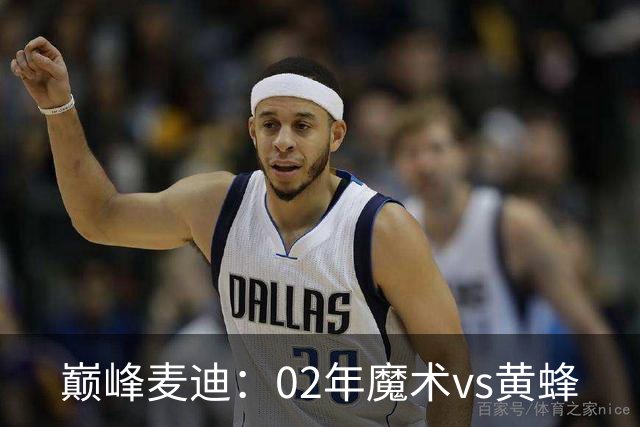 巅峰麦迪：02年魔术vs黄蜂