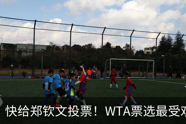 快给郑钦文投票！WTA票选最受欢迎1000赛夺冠表现，郑钦文暂列第2