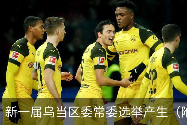 新一届乌当区委常委选举产生（附简历）→