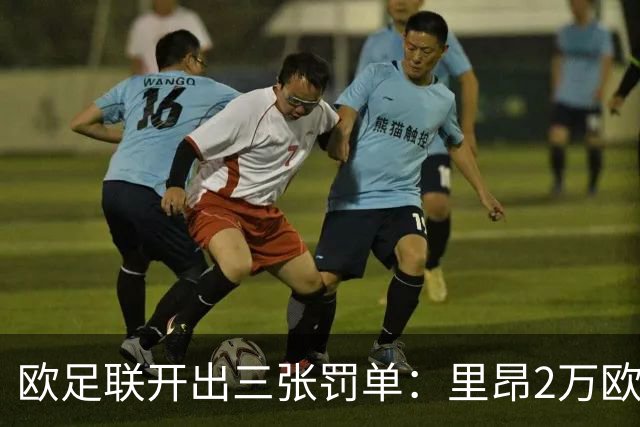 欧足联开出三张罚单：里昂2万欧，哈伊杜克8万欧，特拉布宗10万欧