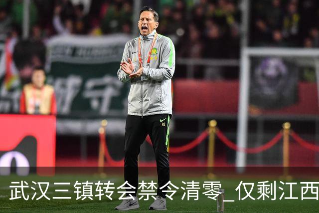 武汉三镇转会禁令清零 仅剩江西庐山还存在转会注册禁令
