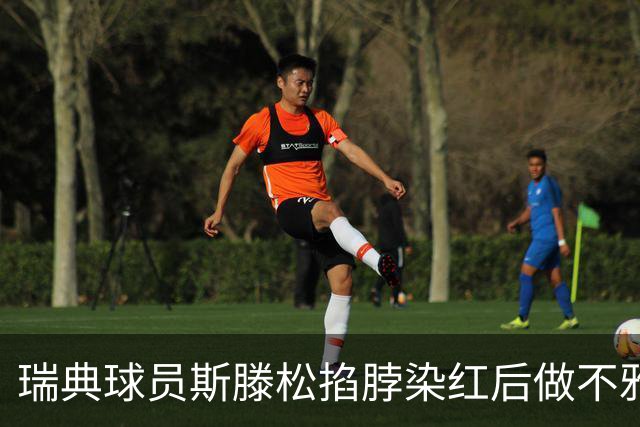 瑞典球员斯滕松掐脖染红后做不雅动作，或遭追加停赛