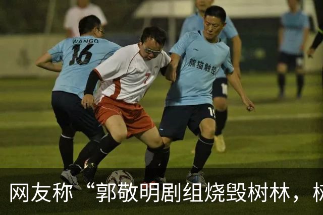 网友称“郭敬明剧组烧毁树林，树干呈黑灰色、倒塌在地”，当地回应：政府全程监管，相关画面是布景，剧组没有破坏生态