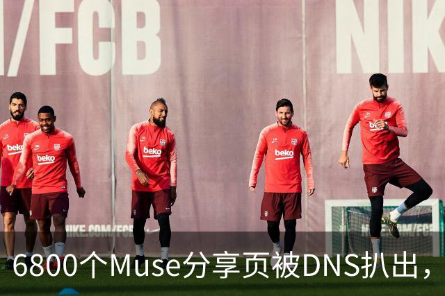 6800个Muse分享页被DNS扒出，Meta紧急暂停